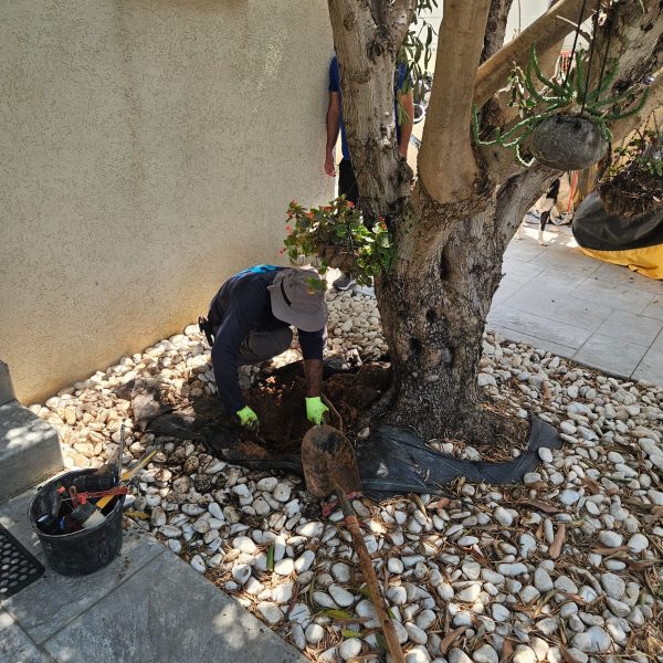 תמונה של WhatsApp_ 2024-09-01 בשעה 13.11.43_ea173d88